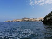 Bootstour Ballestas Inseln