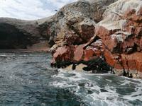 Bootstour Ballestas Inseln