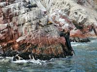 Bootstour Ballestas Inseln