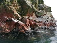 Bootstour Ballestas Inseln