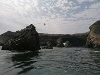 Bootstour Ballestas Inseln