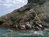 Bootstour Ballestas Inseln