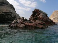 Bootstour Ballestas Inseln