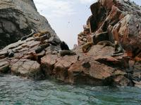 Bootstour Ballestas Inseln