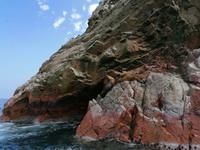 Bootstour Ballestas Inseln