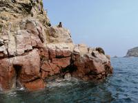 Bootstour Ballestas Inseln