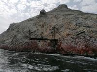 Bootstour Ballestas Inseln