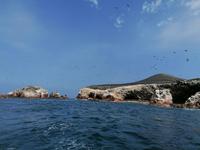 Bootstour Ballestas Inseln