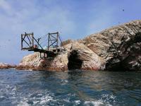 Bootstour Ballestas Inseln