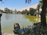Huacachina Oase