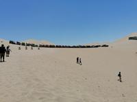 Huacachina Oase