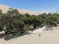 Huacachina Oase