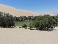 Huacachina Oase