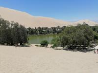 Huacachina Oase