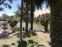 Huacachina Oase