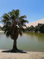 Huacachina Oase
