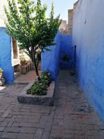 Arequipa