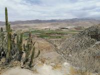 Hochebene Pampa Canahuas