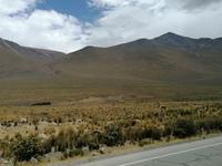 Hochebene Pampa Canahuas