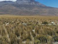 Hochebene Pampa Canahuas