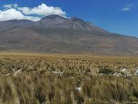 Hochebene Pampa Canahuas