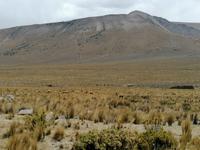 Hochebene Pampa Canahuas