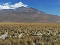 Hochebene Pampa Canahuas