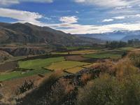 Colca Tal