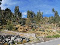 Colca Tal