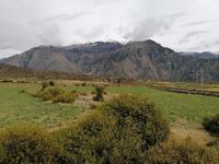 Colca Tal
