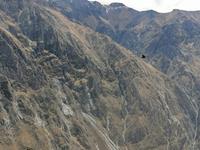 Mirador Cruz del Condor