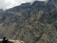 Mirador Cruz del Condor