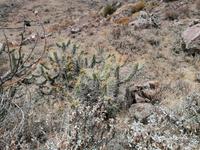 Mirador Cruz del Condor