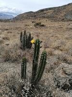 Mirador Cruz del Condor
