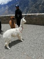 Mirador Cruz del Condor