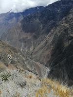 Mirador Cruz del Condor