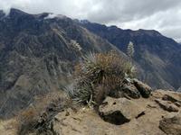 Mirador Cruz del Condor