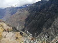 Mirador Cruz del Condor