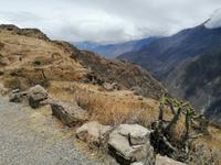 Mirador Cruz del Condor