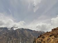 Mirador Cruz del Condor