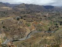 Colca Tal