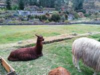 Colca Lodge