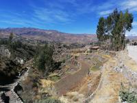 Colca Tal