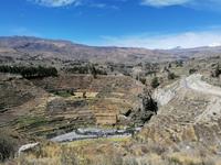Colca Tal