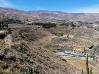 Colca Tal