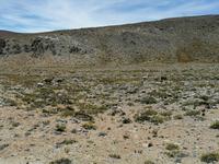 Hochebene Pampa Canahuas