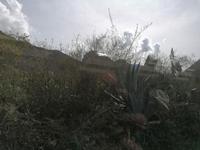 Zugfahrt nach Aguas Calientes