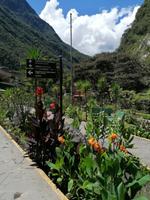 Zugfahrt Aguas Calientes