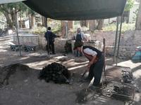 Traditionelles Mittagessen Pachamanca