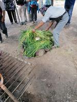 Traditionelles Mittagessen Pachamanca